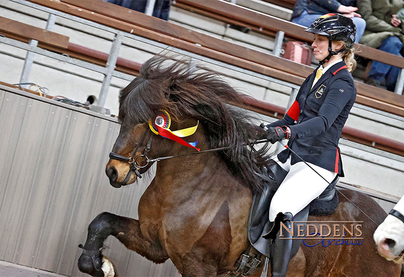 Vikings-Gold in Münster mit Óskasteinn und Mars